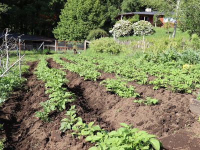 Bio Farm in Pucon Chile Landhaus